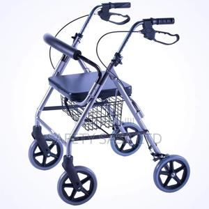 Rollator Walker - main view