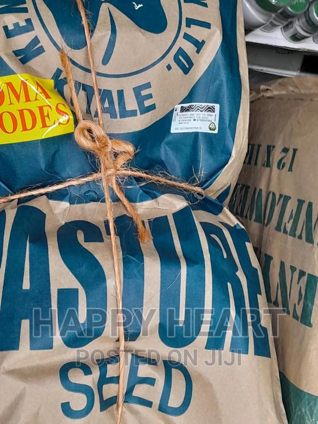 Boma Rhodes Pasture Seed 1kg - thumbnail 3