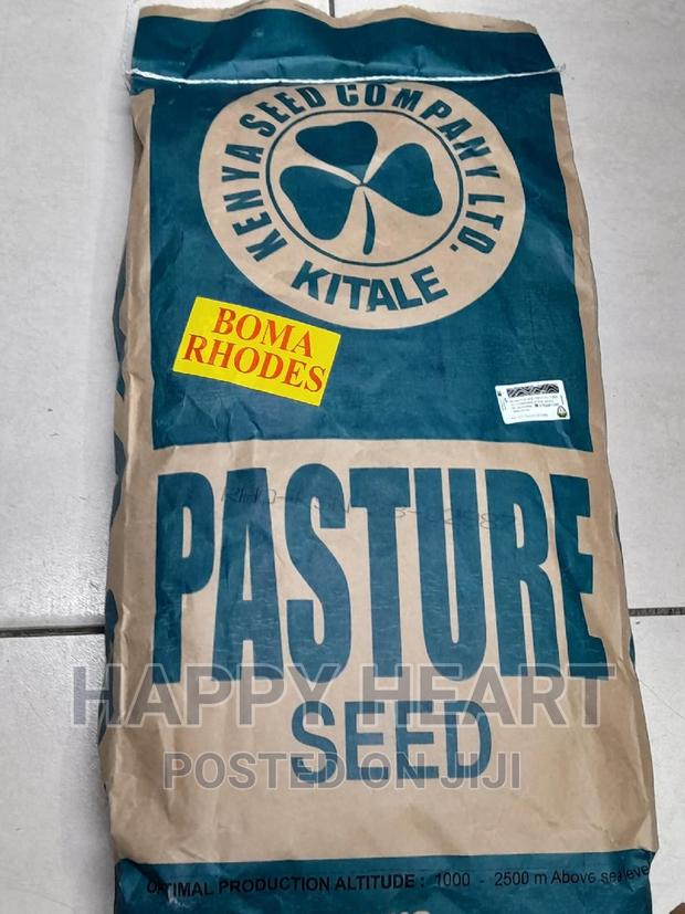 Boma Rhodes Pasture Seed 1kg
