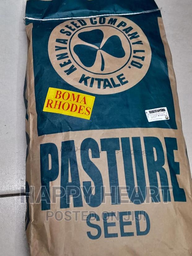 Boma Rhodes Pasture Seed 1kg - thumbnail 9