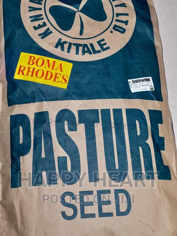 Boma Rhodes Pasture Seed 1kg - thumbnail 2