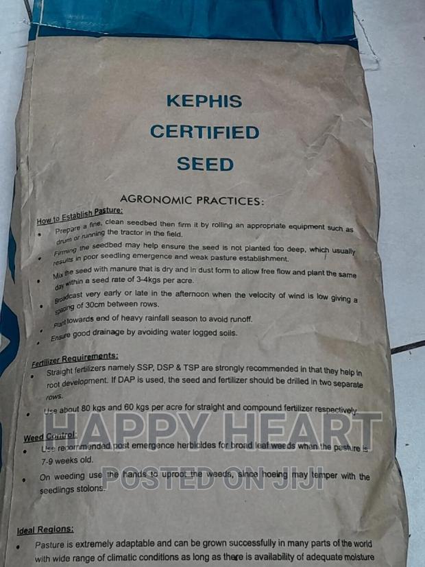 Boma Rhodes Pasture Seed 1kg - thumbnail 11