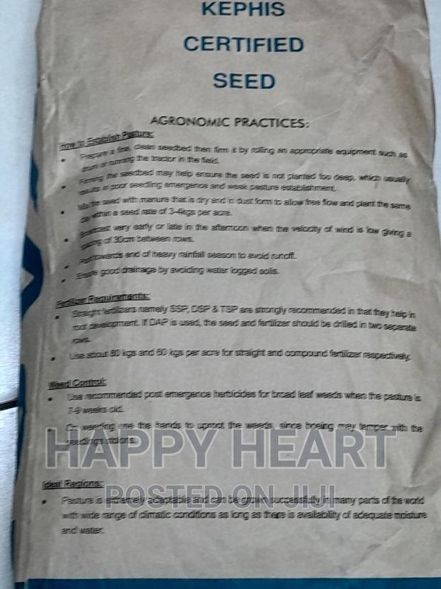 Boma Rhodes Pasture Seed 1kg - thumbnail 7