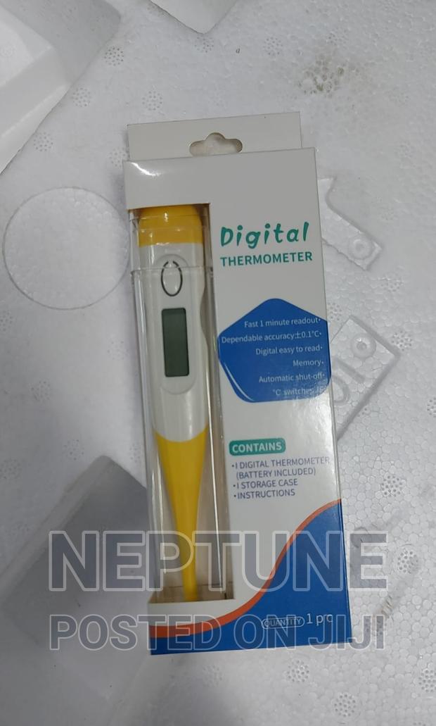 Digital Thermometer - main view