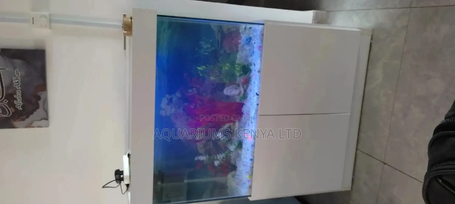 House and Business Spaces Aquarium , Complete Set