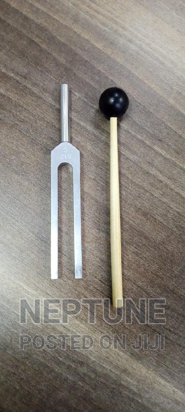 Tunning Fork - main view