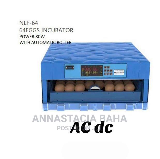 Premier 64 Eggs Incubators With Automatic Roller - main view
