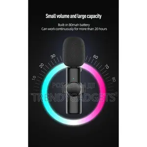 Lavalier Microphone , Professional Wireless Mic