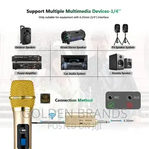 Powerful Wireless Microphone UHF Dual Cordless Dynamic