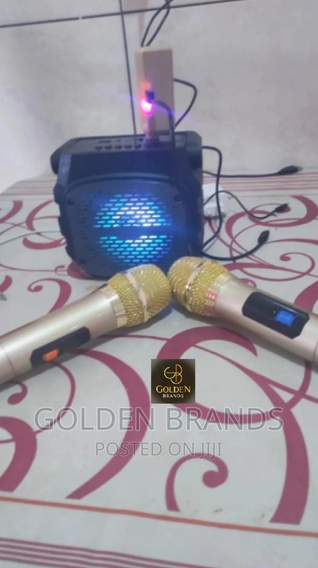 Wireless Microphone UHF Dual Cordless Dynamic 200 Feets - thumbnail 3