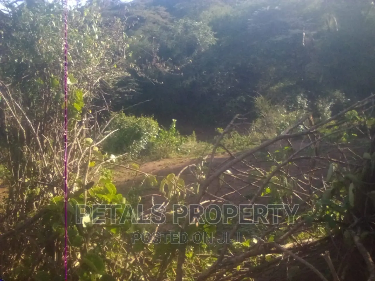 100 Acres for Sale in Emining, Mogotio