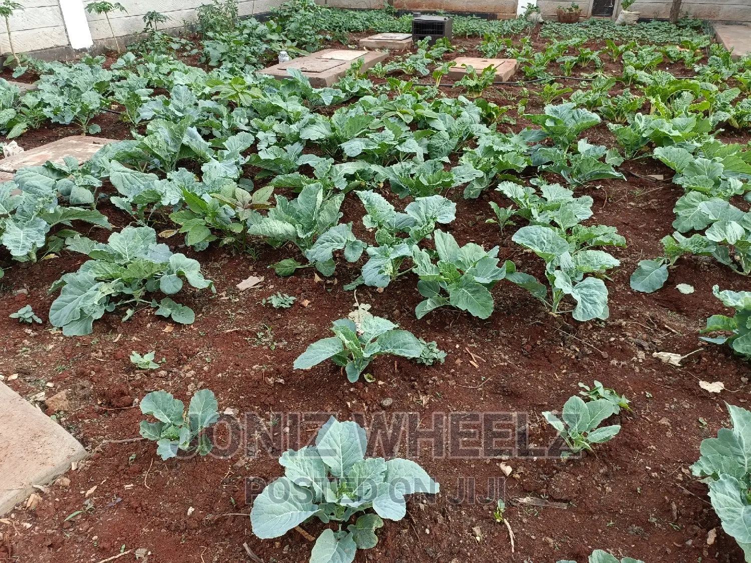 7bdrm Maisonette in Milimani, Kitengela for sale