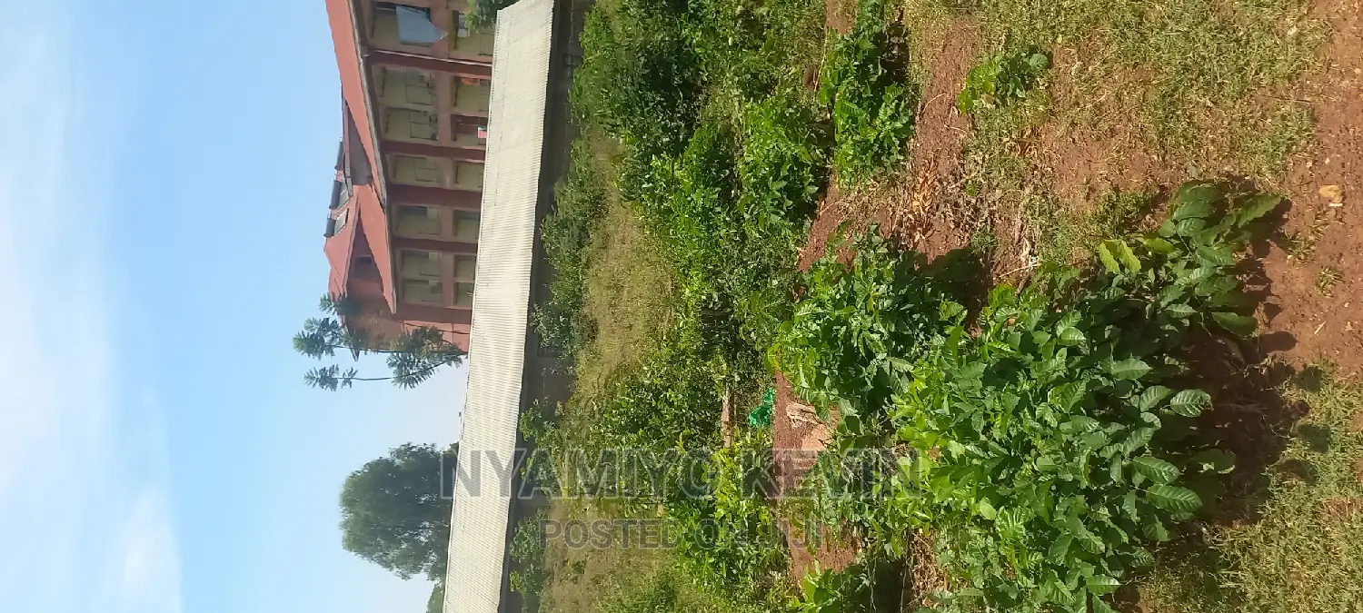 Medula Academy Bondo in South Sakwa (Bondo) Land & Plots for Sale