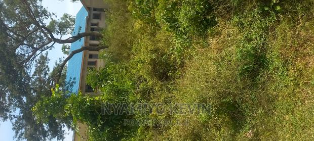 Medula Academy Bondo - thumbnail 4