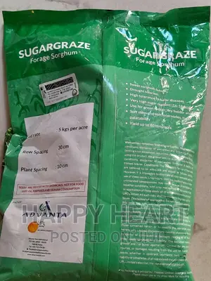 Sugargraze Forage Sorghum 2kg