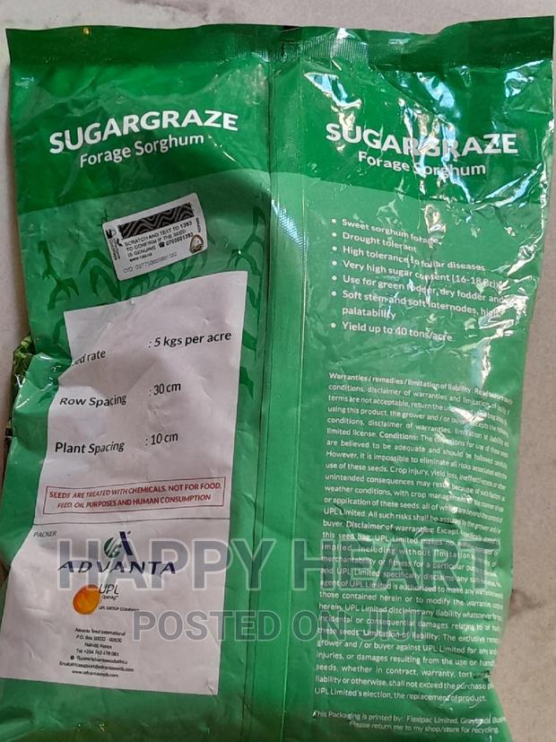 Sugargraze Forage Sorghum 2kg - thumbnail 5