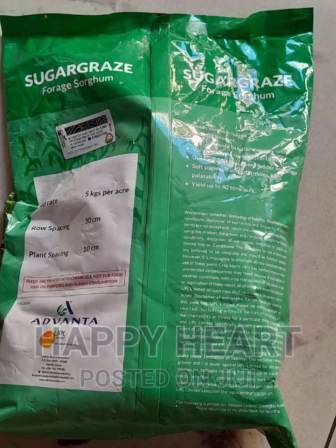 Sugargraze Forage Sorghum 2kg