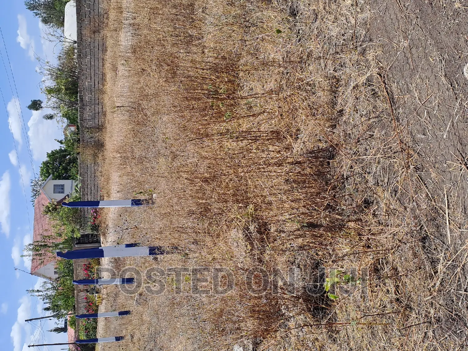 1/8th Acre Plots Kamulu 3M. Mw^