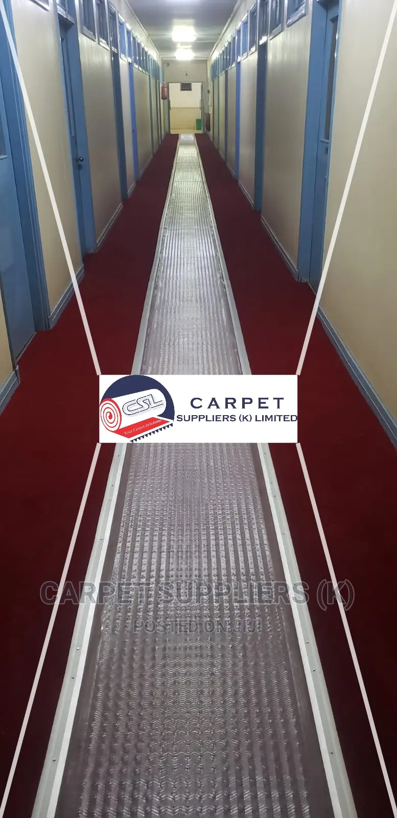 Protector Protector Carpets1