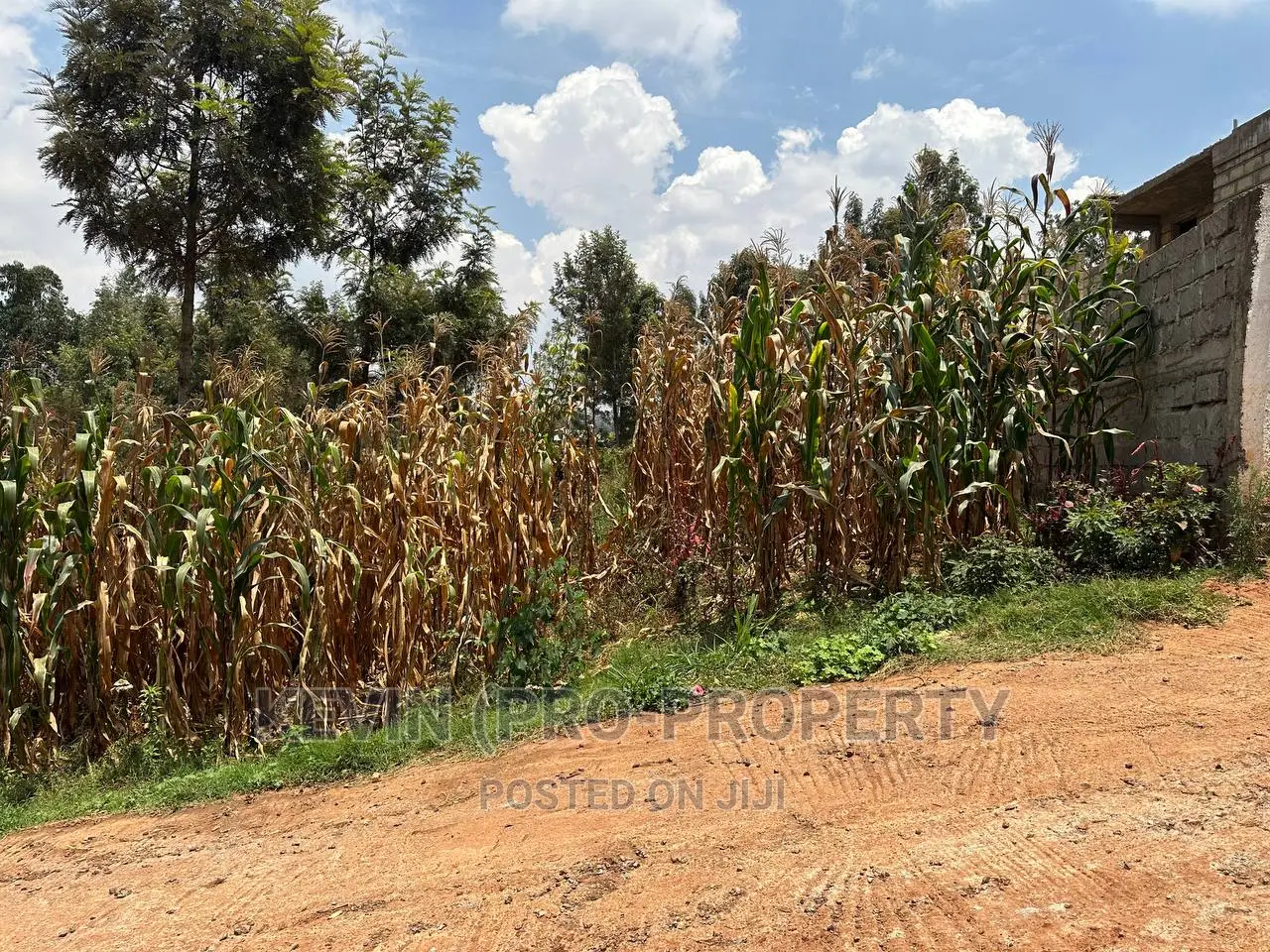 Prime Plot for Sale in Kinoo, Kihumo Area.