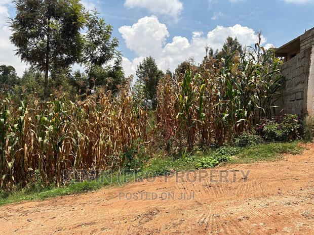 Prime Plot for Sale in Kinoo, Kihumo Area. - thumbnail 9