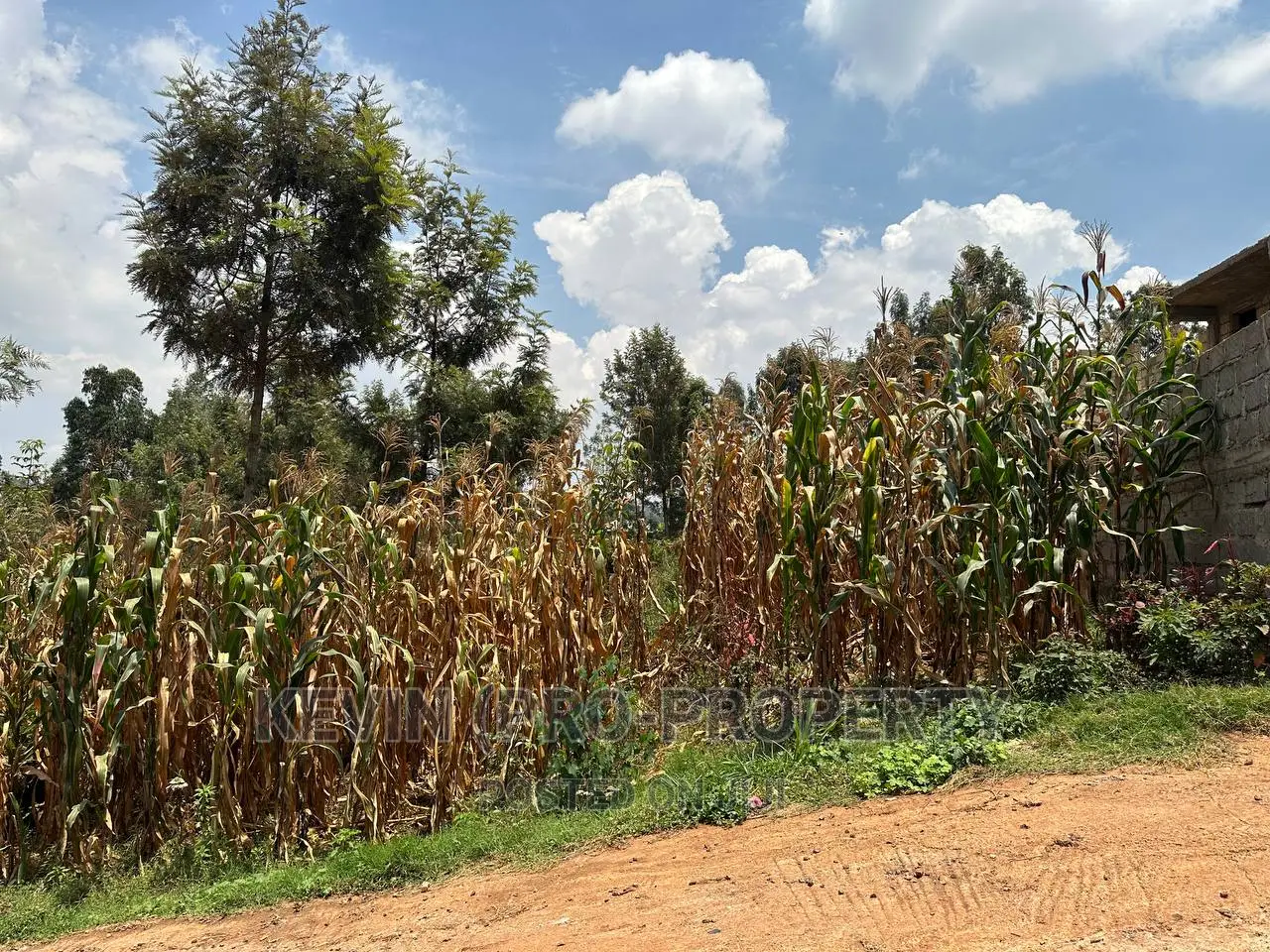 Prime Plot for Sale in Kinoo, Kihumo Area.