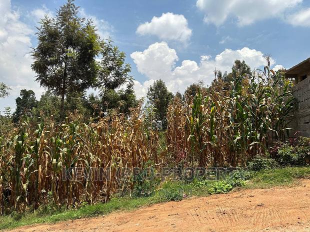 Prime Plot for Sale in Kinoo, Kihumo Area. - thumbnail 10