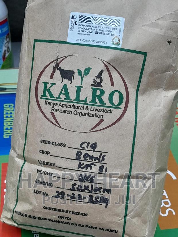 Yellow Beans Kat B1 2kgs - thumbnail 2