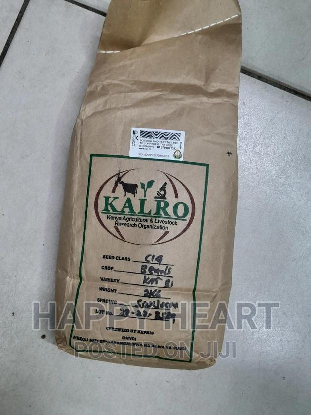 Yellow Beans Kat B1 2kgs - thumbnail 4