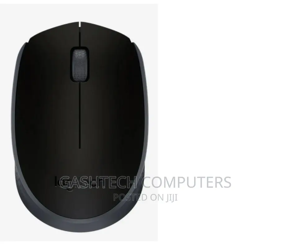 Logitech Wireless Mouse M171 - Black