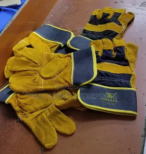 Ordinary Gloves