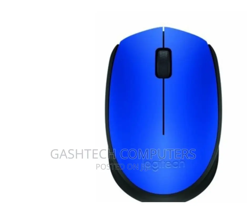 Logitech Wireless Mouse M171 - Blue