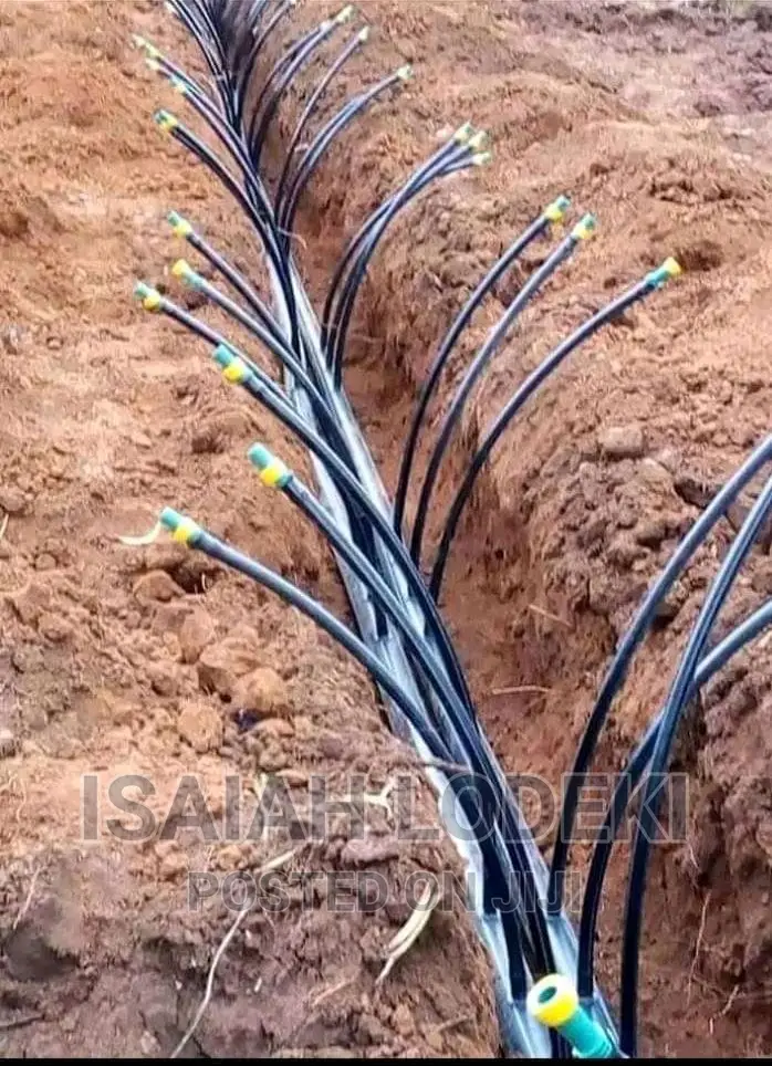 Drip Irrigation Installation Services