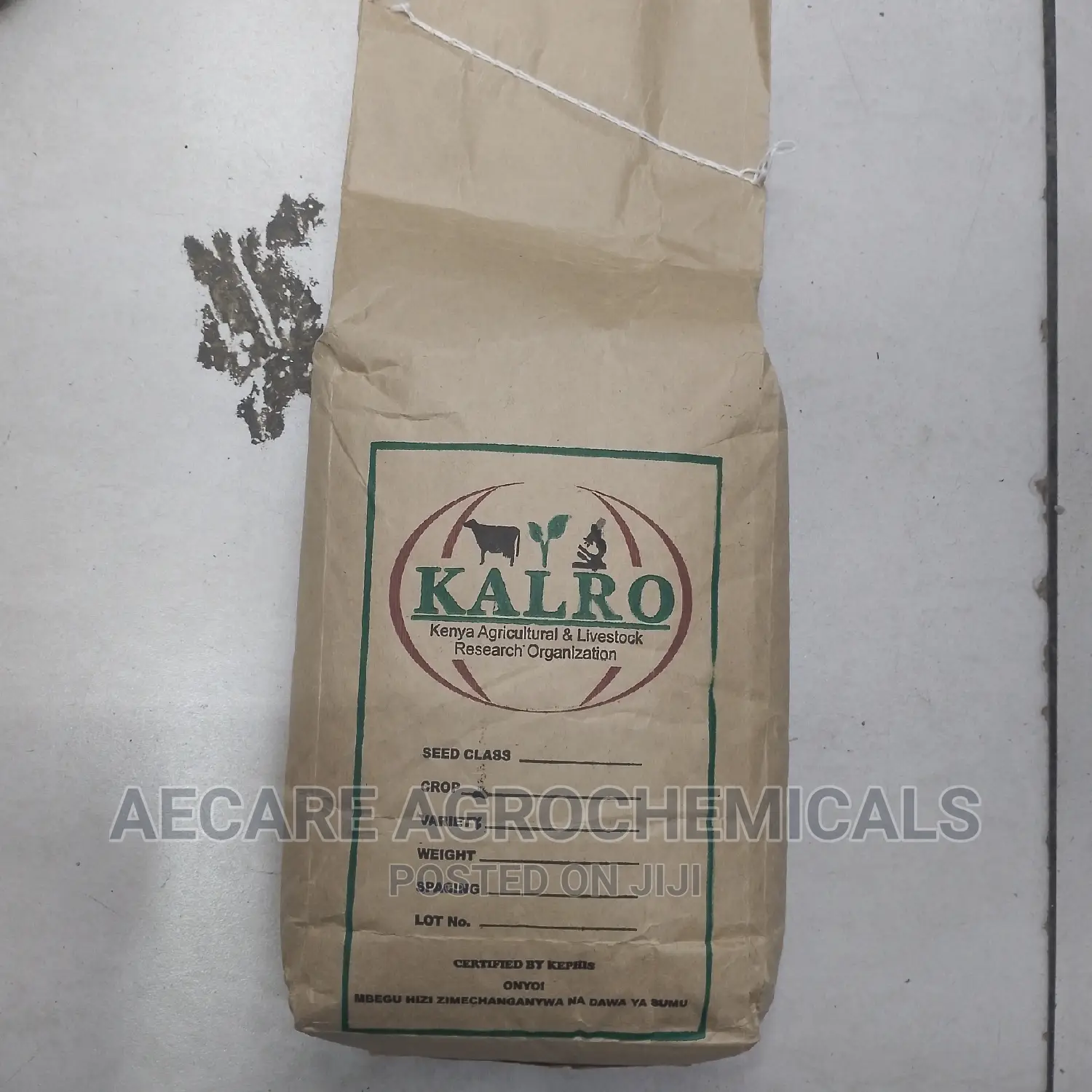 Yellow Beans Seeds 2kg (Kalro) KAT B1