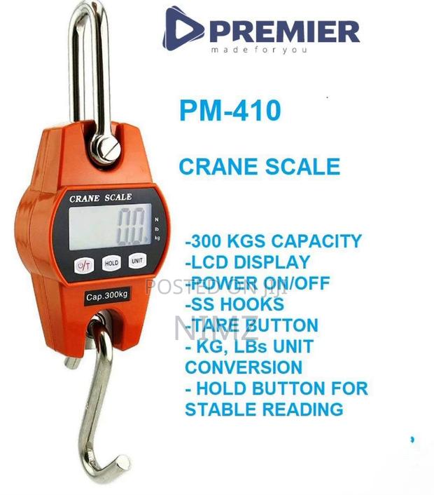 Premier 300 Kg Crane Scale - main view