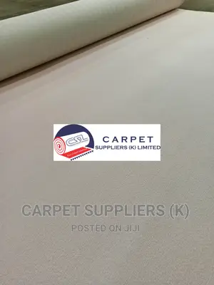 White Wall to Wall Carpet