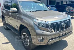 Toyota Land Cruiser Prado 2017 Gray
