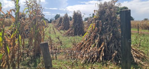 1 Acre for Sale Merewet 100 Metres From Highway Eldoret - thumbnail 3