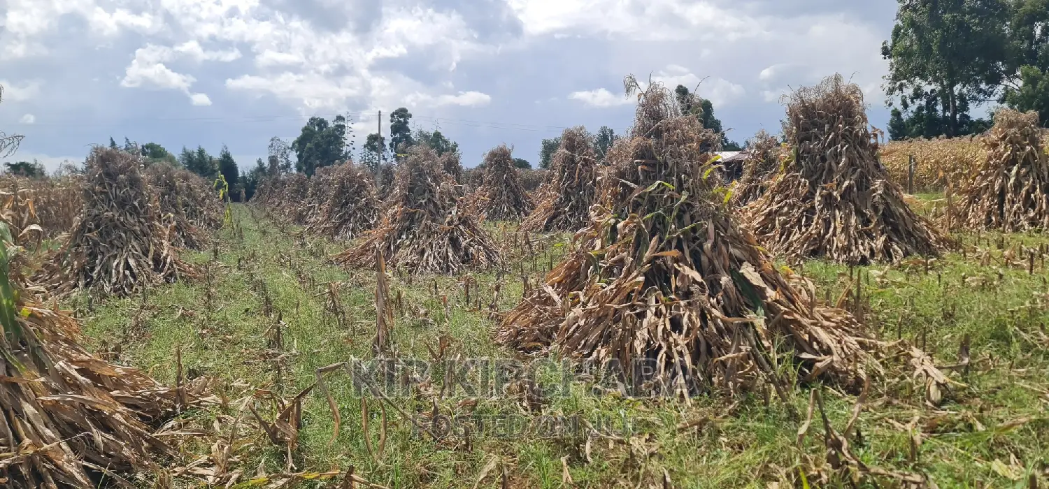 1 Acre for Sale Merewet 100 Metres From Highway Eldoret