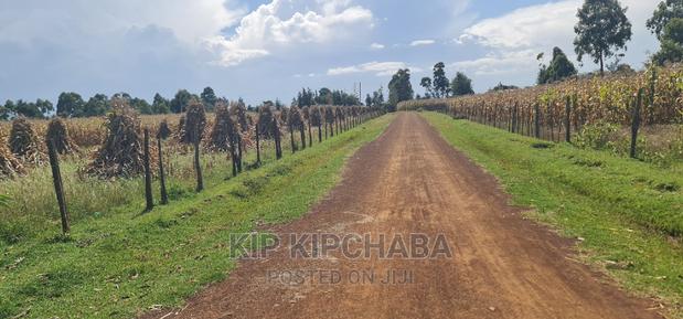 1 Acre for Sale Merewet 100 Metres From Highway Eldoret - thumbnail 8