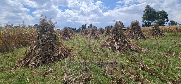 1 Acre for Sale Merewet 100 Metres From Highway Eldoret - thumbnail 5
