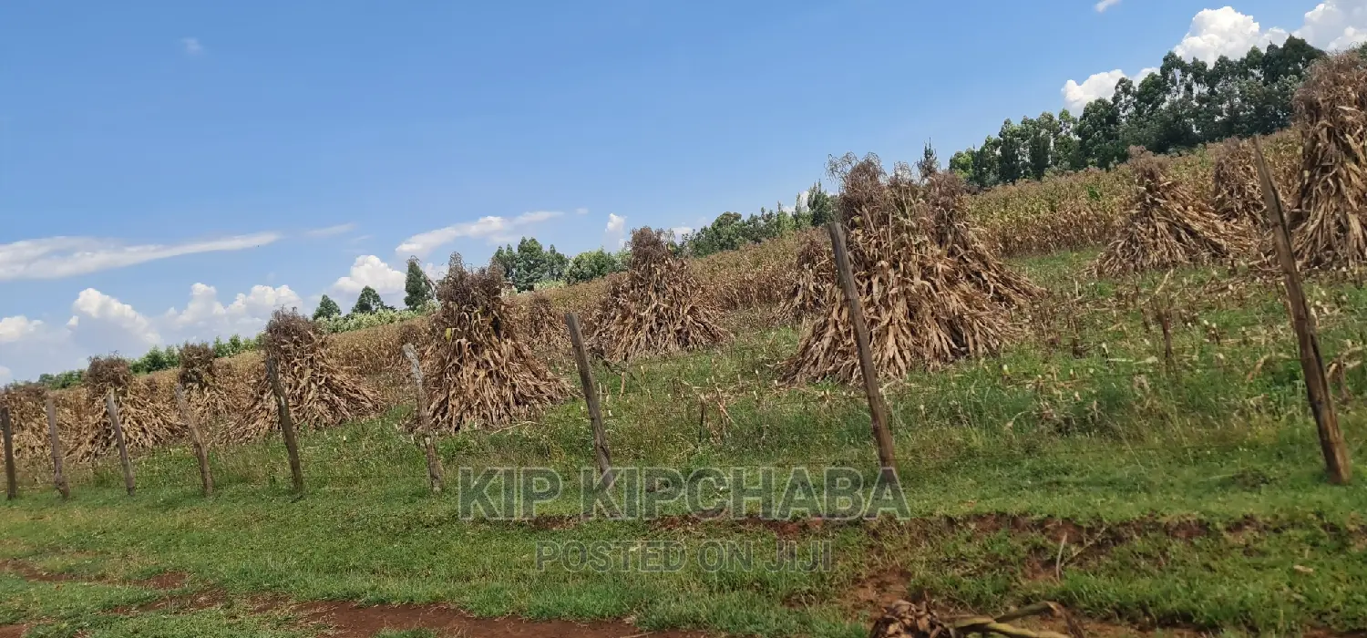 1 Acre for Sale Merewet 100 Metres From Highway Eldoret