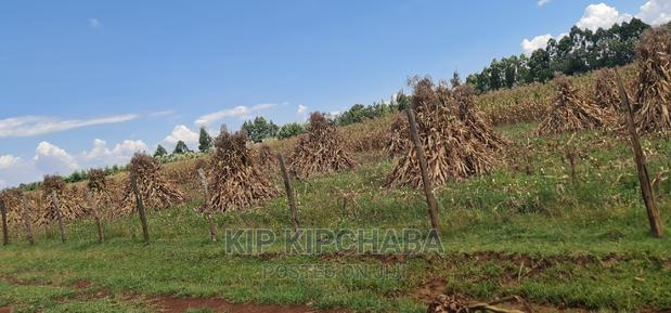 1 Acre for Sale Merewet 100 Metres From Highway Eldoret - thumbnail 9