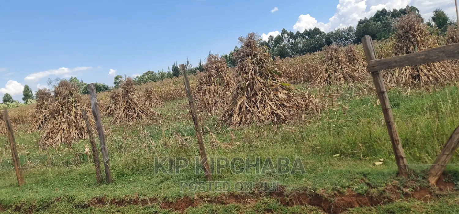 1 Acre for Sale Merewet 100 Metres From Highway Eldoret