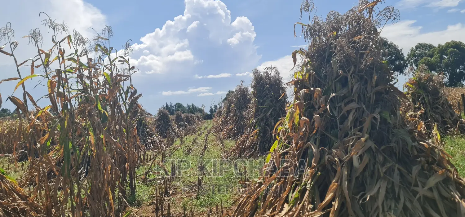 1 Acre for Sale Merewet 100 Metres From Highway Eldoret