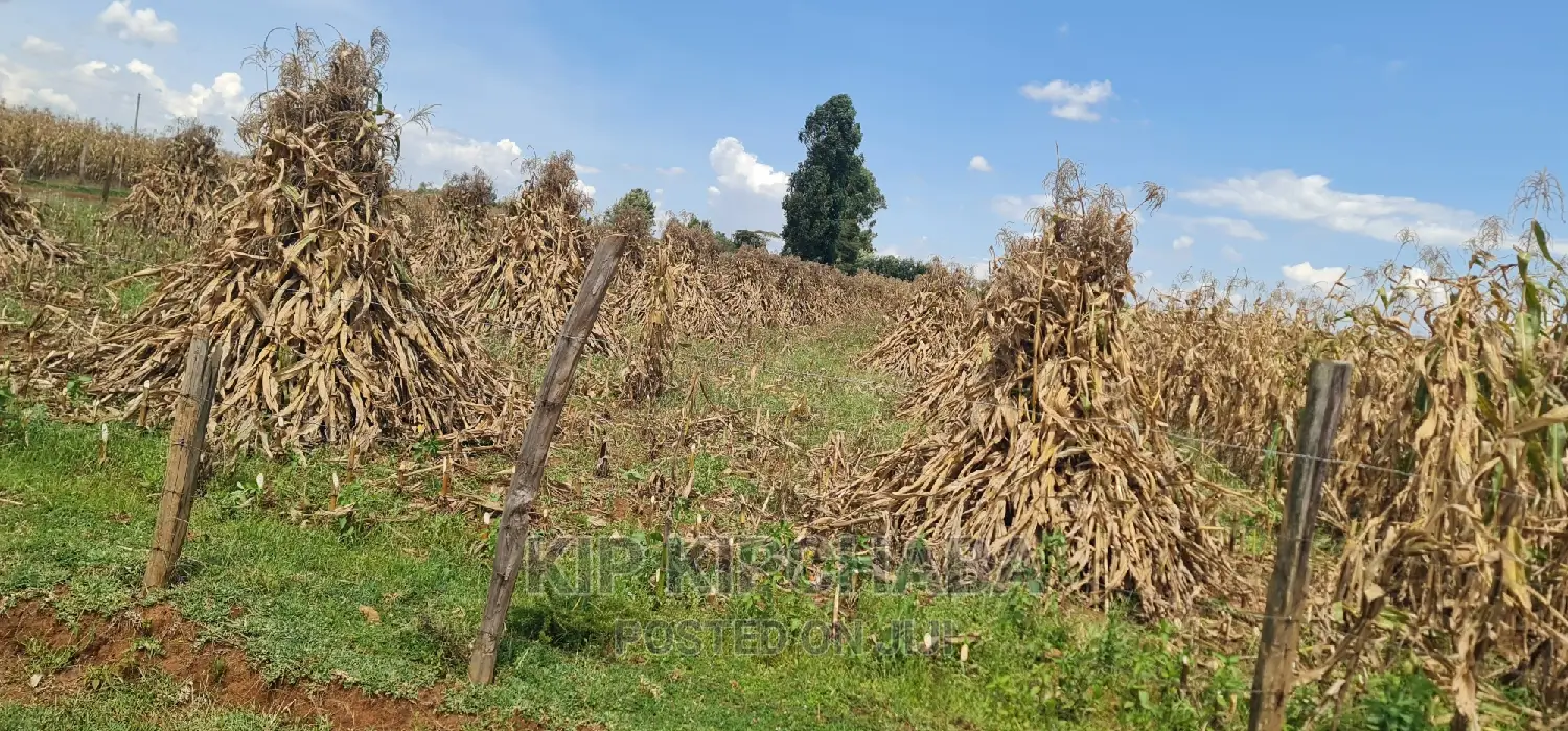1 Acre for Sale Merewet 100 Metres From Highway Eldoret