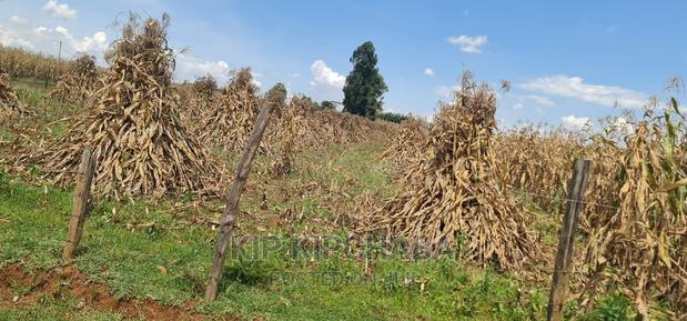 1 Acre for Sale Merewet 100 Metres From Highway Eldoret - thumbnail 11