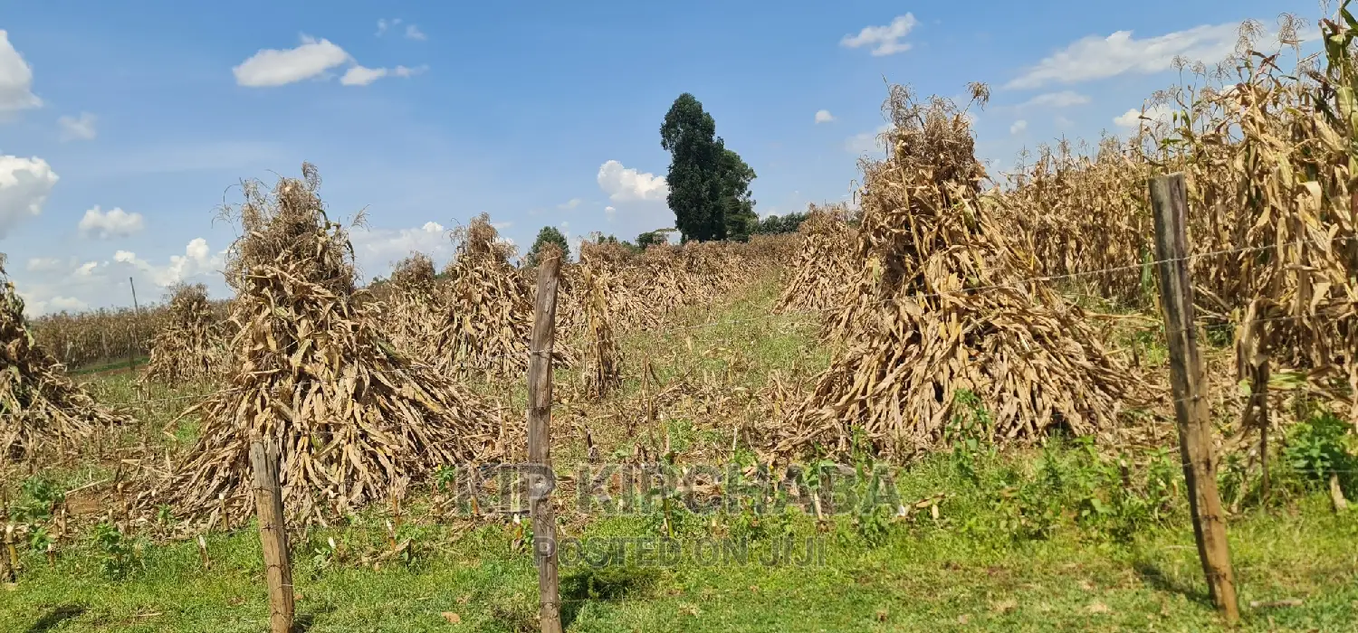 1 Acre for Sale Merewet 100 Metres From Highway Eldoret