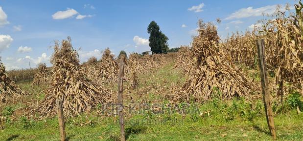 1 Acre for Sale Merewet 100 Metres From Highway Eldoret - thumbnail 12