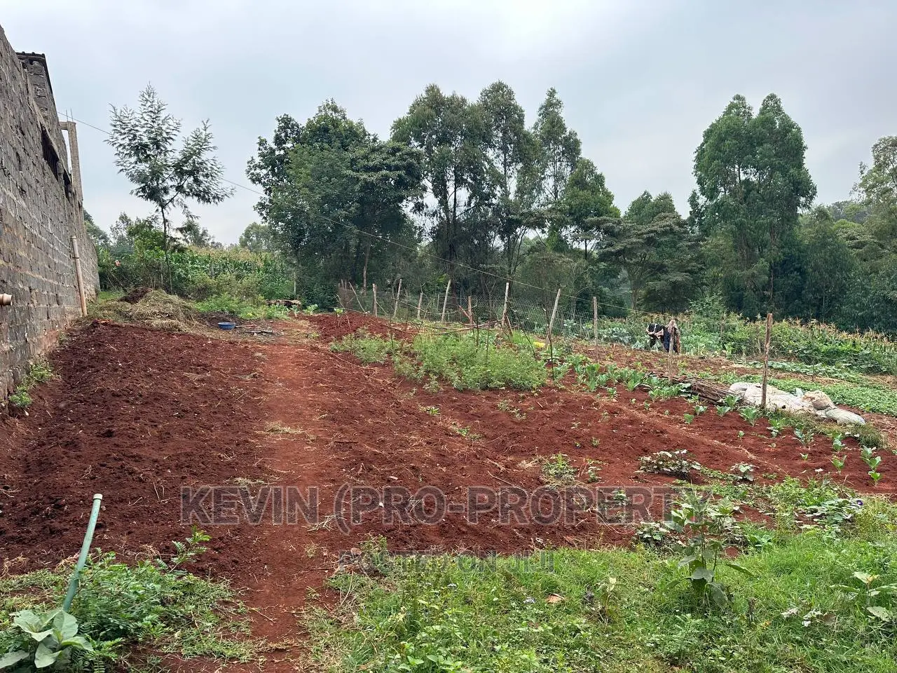 Prime Plot for Sale in Lower Kabete